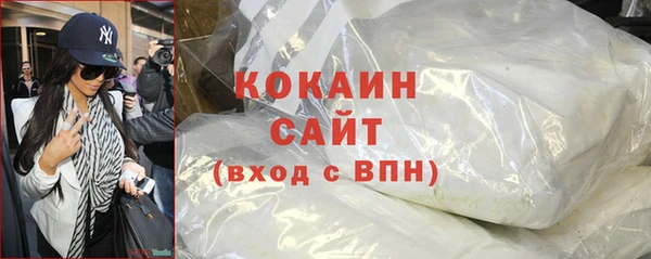 сатива Снежногорск
