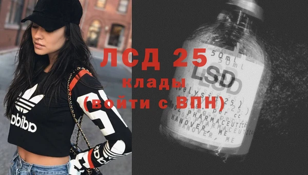 прущий лед Богданович