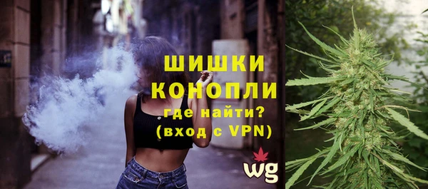 прущий лед Богданович
