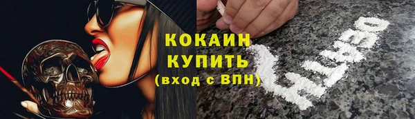 прущий лед Богданович