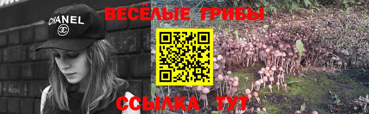 Псилоцибиновые грибы ЛСД Сланцы