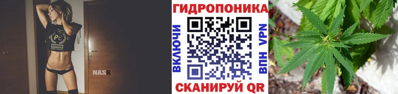 сайты даркнета наркотические препараты  закладка  гидра зеркало  Сланцы  Бошки Шишки конопля 